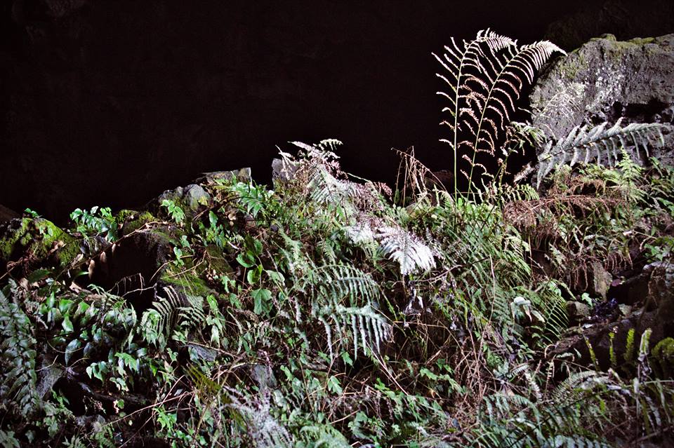 10450810_10153075235581518_6727166852125456531_n