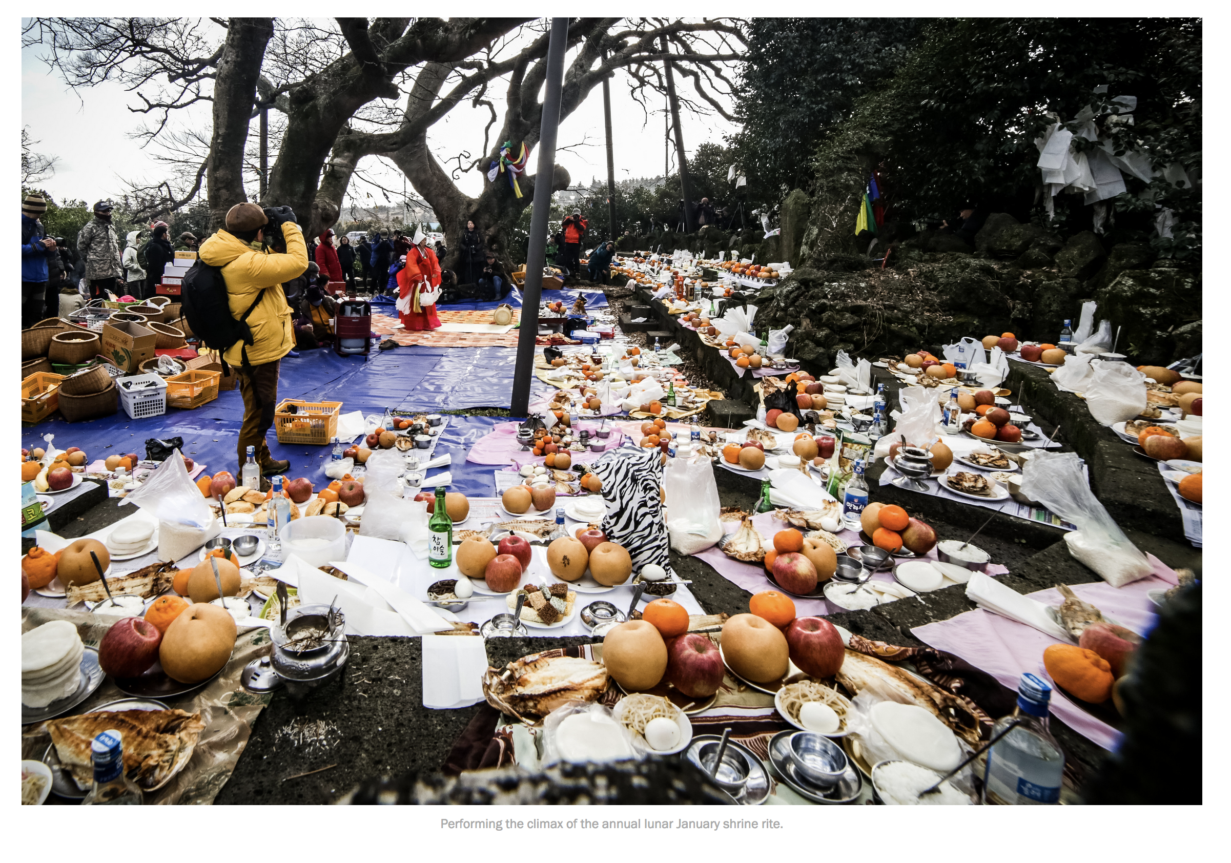 Screen Shot 2018-03-05 at 1.46.18 PM