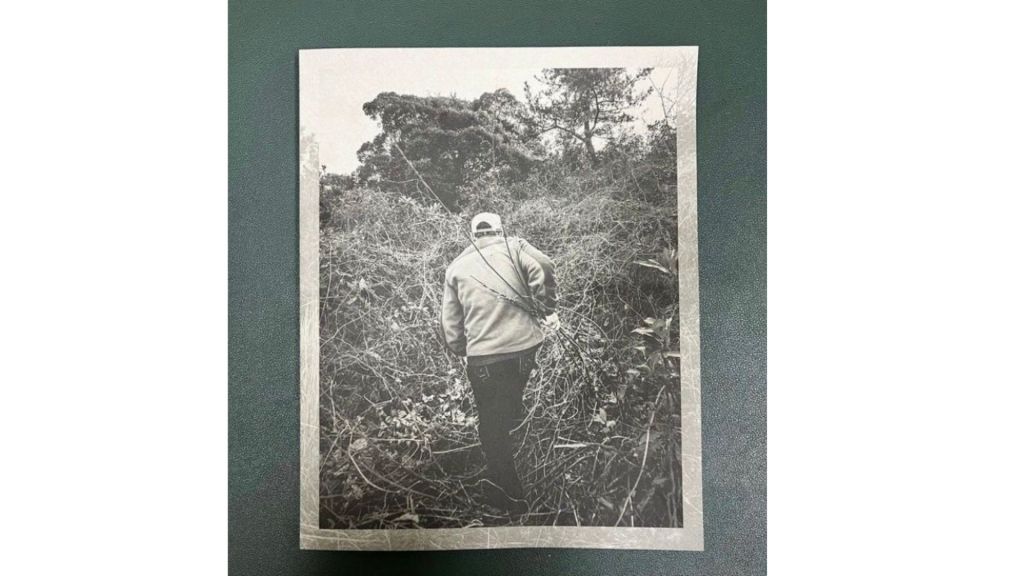 This image has an empty alt attribute; its file name is 4.jpg